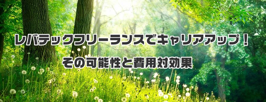 レバテックフリーランスでキャリアアップ!その可能性と費用対効果
